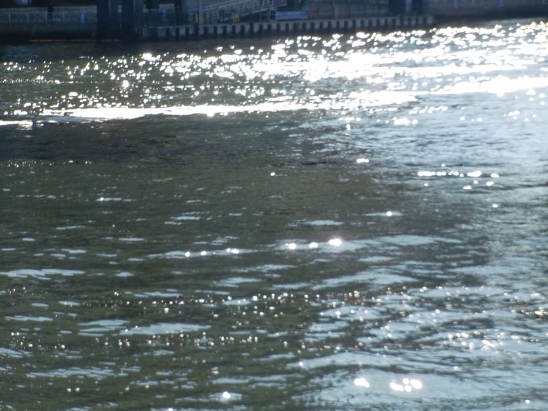 [풀박] 카시오 엑슬림 H10 : casio exilim ex-H10 상품이미지8