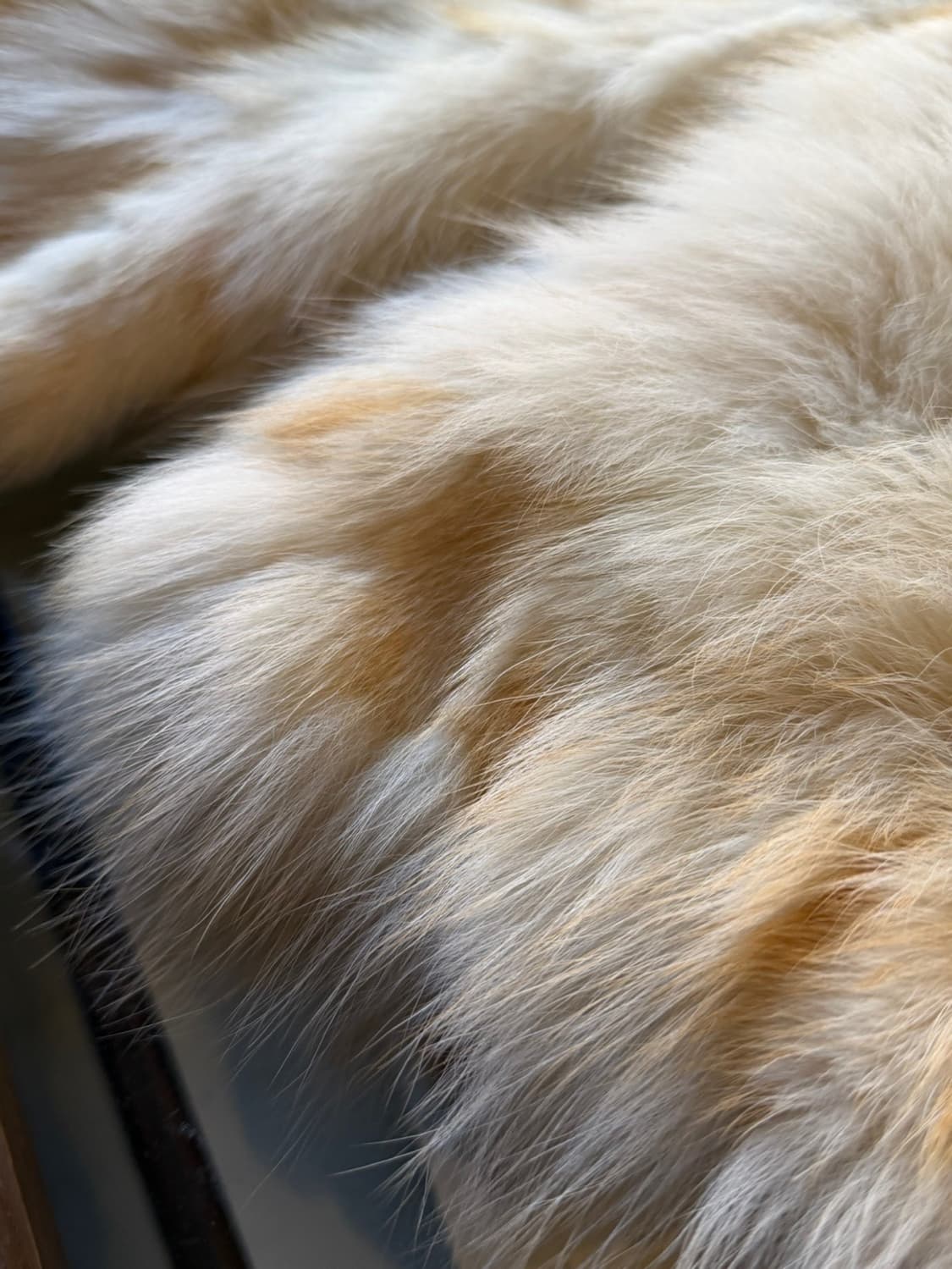 사가 폭스 퍼 베스트 55 상품이미지4