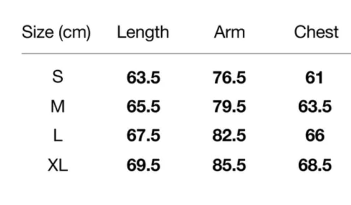 디스이즈네버댓x고어텍스 윈드스토퍼 기어 자켓 상품이미지10