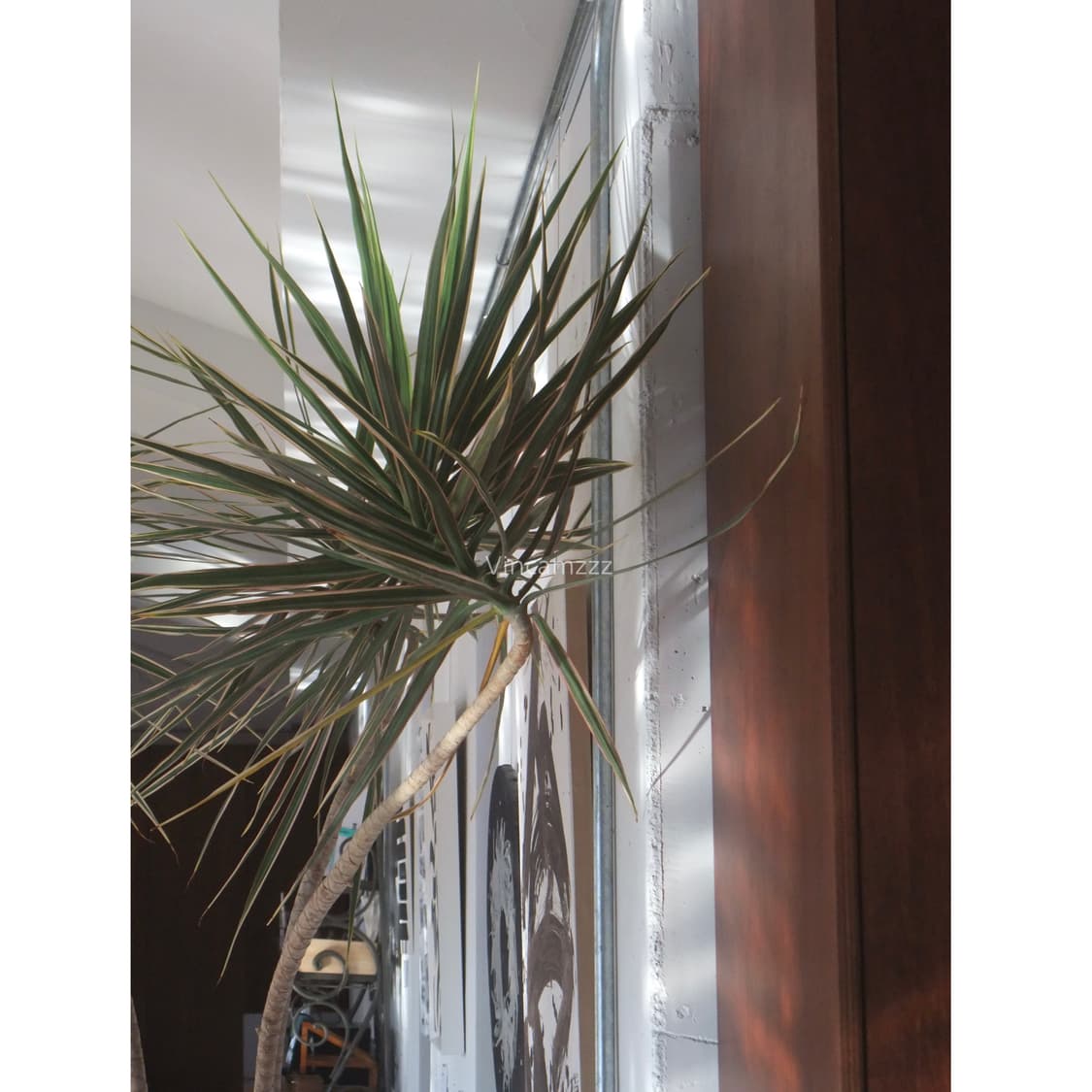 [누가영 디카] Fujifilm 후지 x5 파인픽스 F200EXR 카메라 상품이미지3