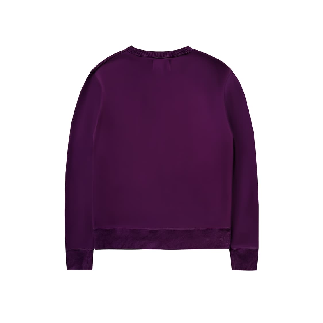 Champion Sweatshirt 상품이미지2