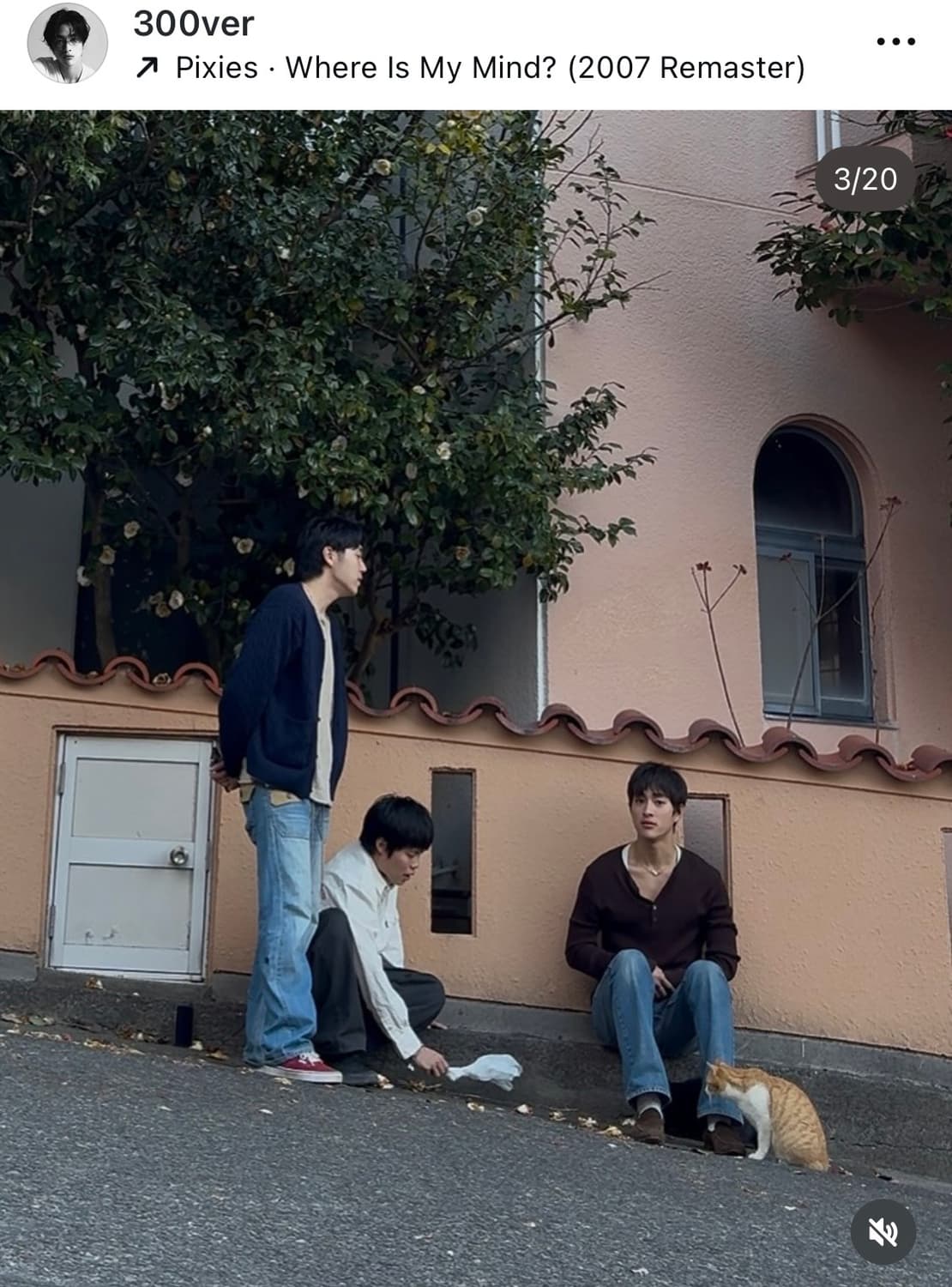 렉토 헨리넥 니트 브라운 L 팝니다 상품이미지2