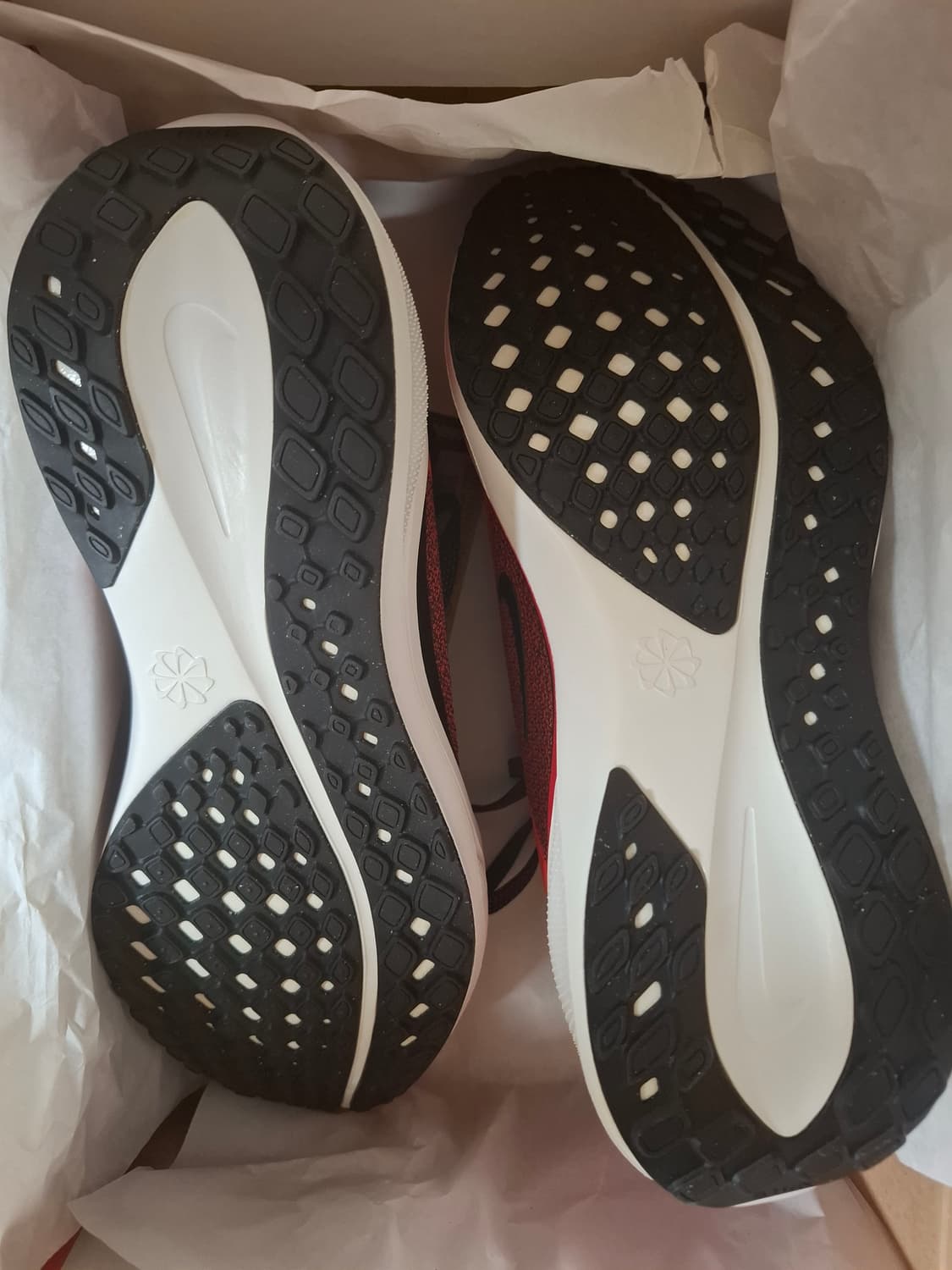 나이키 에어 줌 페가수스 41 유니버시티 레드 라이트 크림슨 상품이미지3