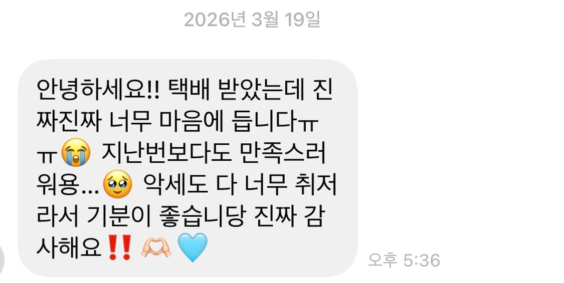 후기가 증명하는 모리 페어리 오리엔탈 y2k 랜덤박스 상품이미지5