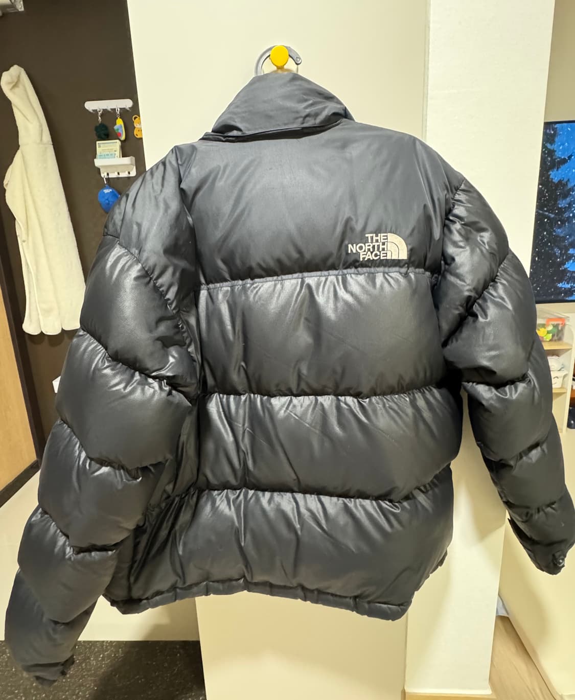 노스페이스 눕시 700 상품이미지2