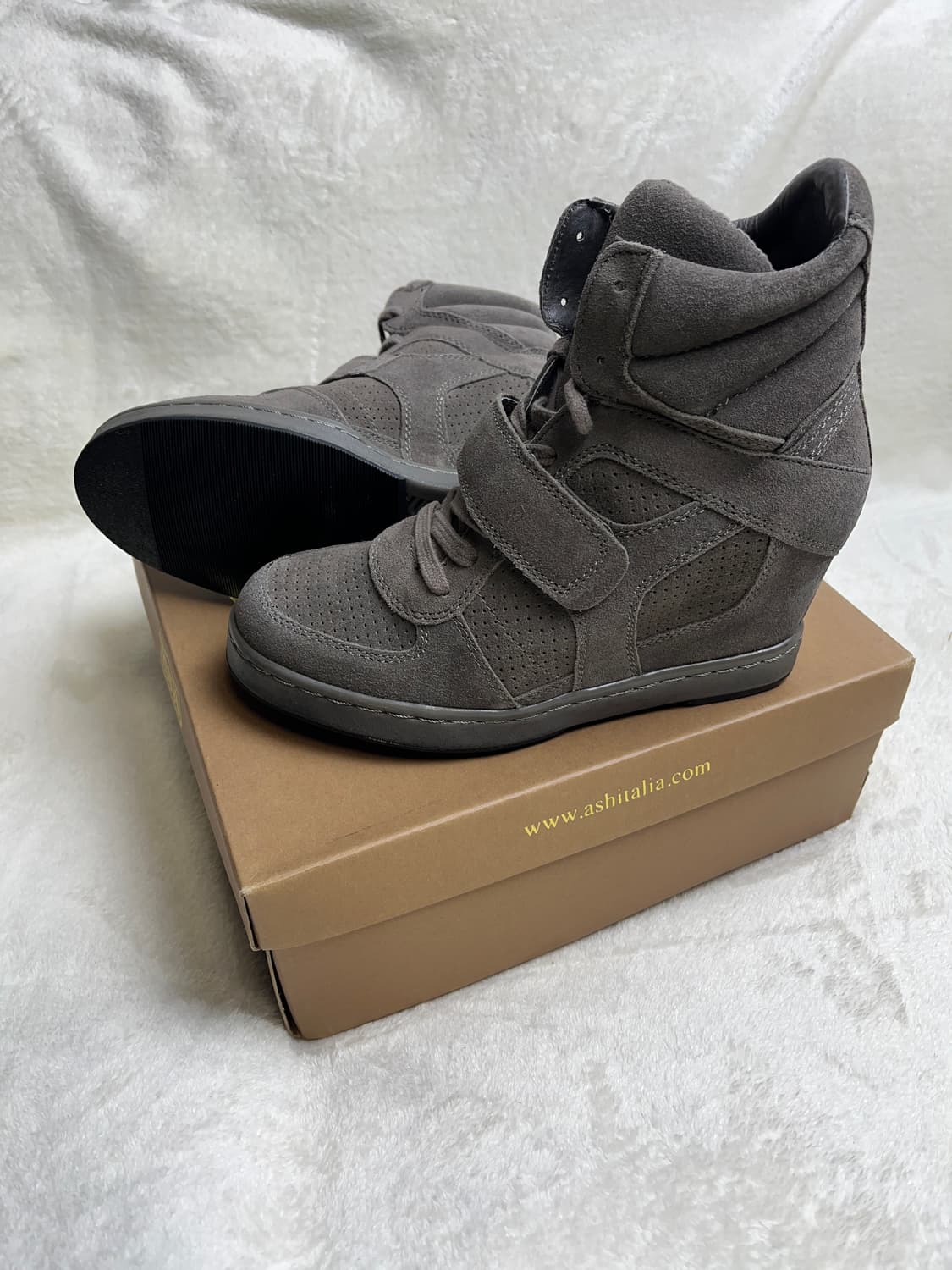 [39] 아쉬 웨지힐 스니커즈 ( 박스,깔창보호✅) || 250 상품이미지4
