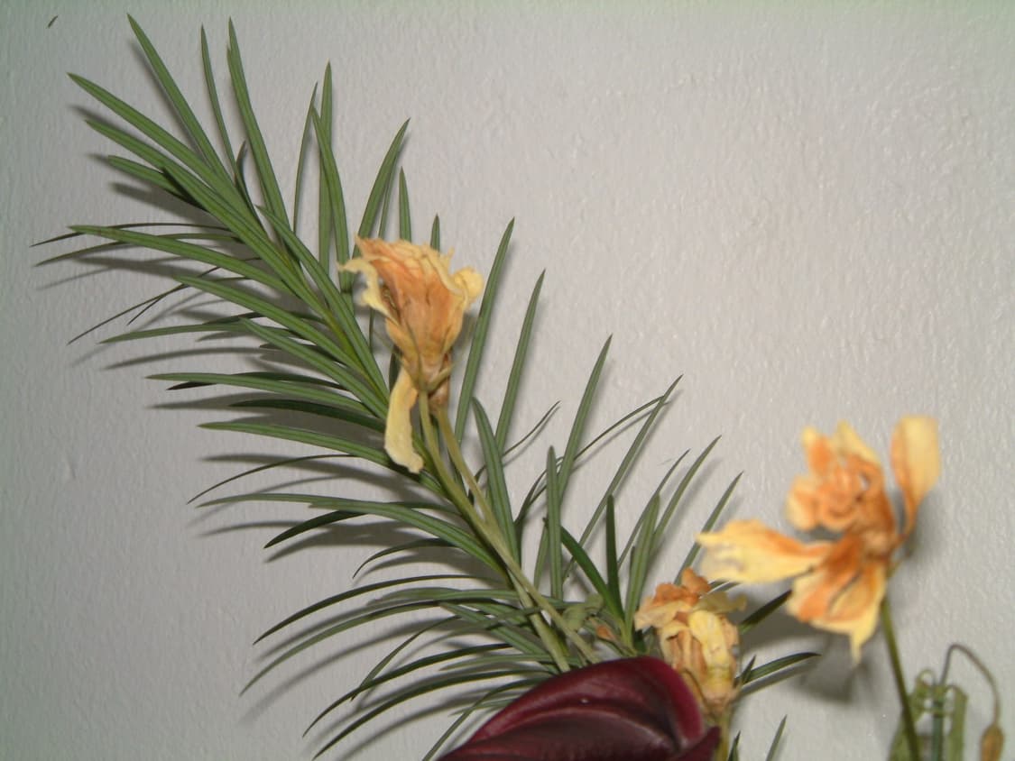 후지필름  FinePix F410  스마트미디어 카드 128MB 상품이미지10