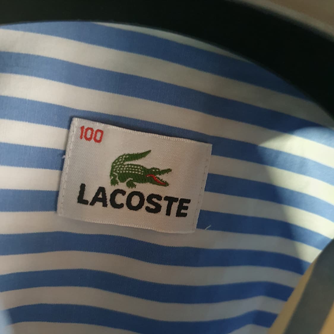 라코스테 셔츠 100 상품이미지3