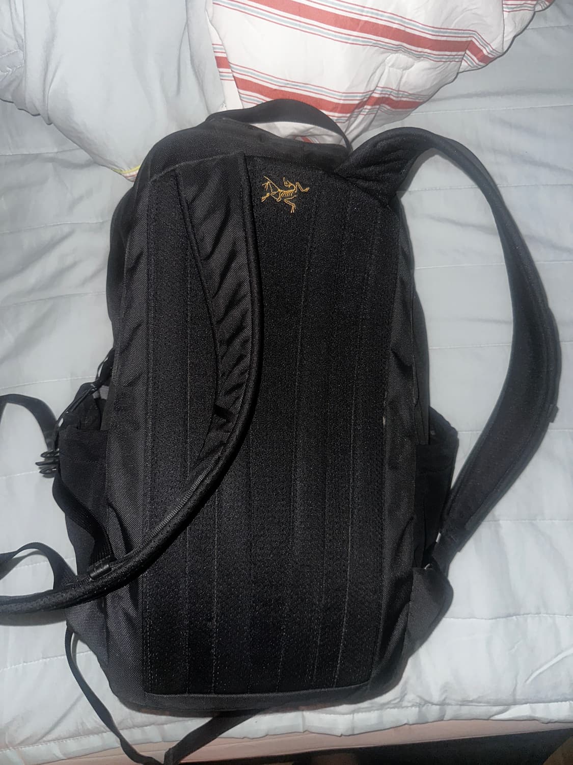 아크테릭스 맨티스 26 백팩 블랙 상품이미지2