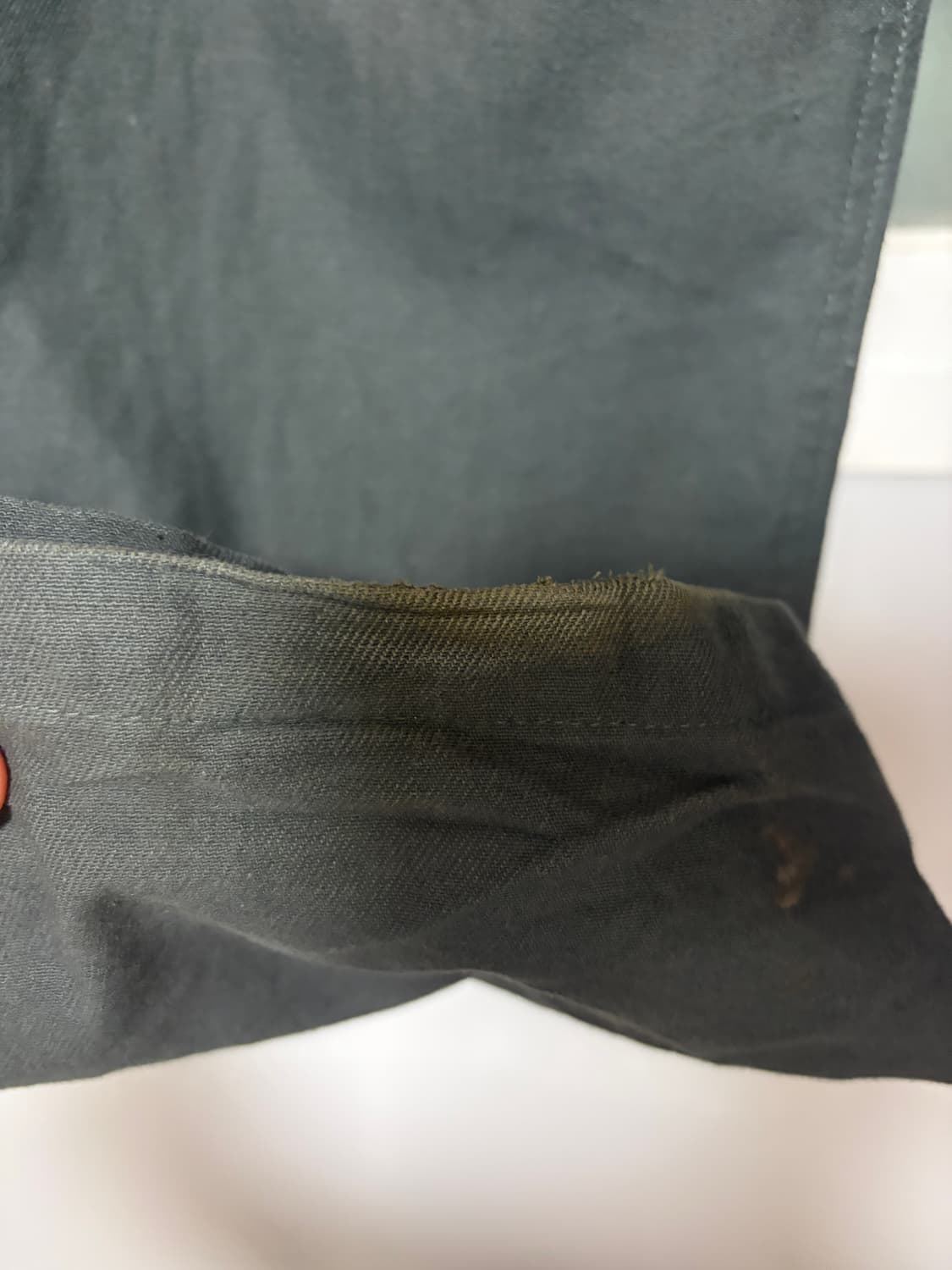 MPa PLANT PANTS (PLANT) 상품이미지3