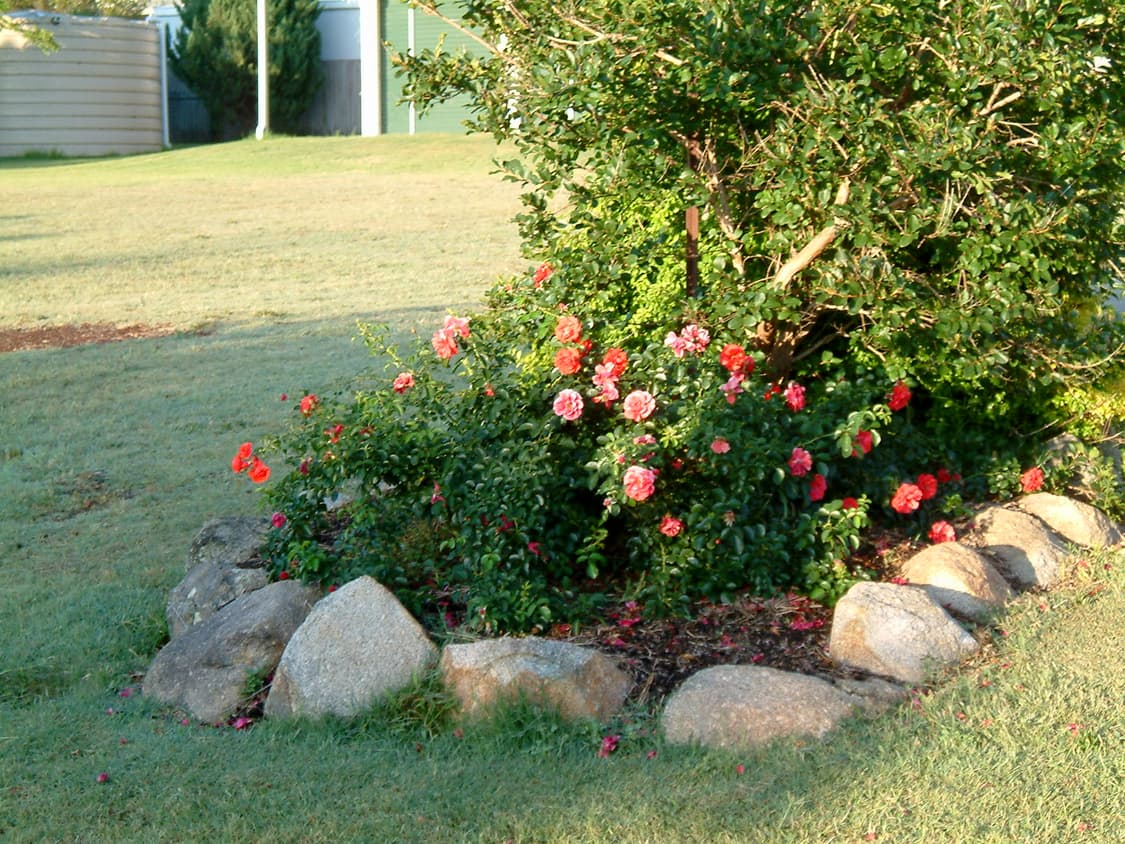 무료배송 Fuji finepix m603 후지 파인픽스 디카 y2k 상품이미지6