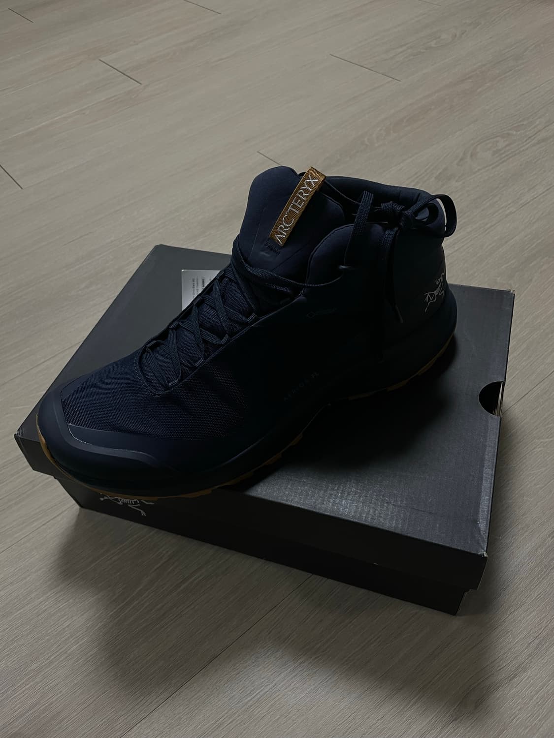 아크테릭스 에어리어스 FL MID GTX 남성 등산화 상품이미지1