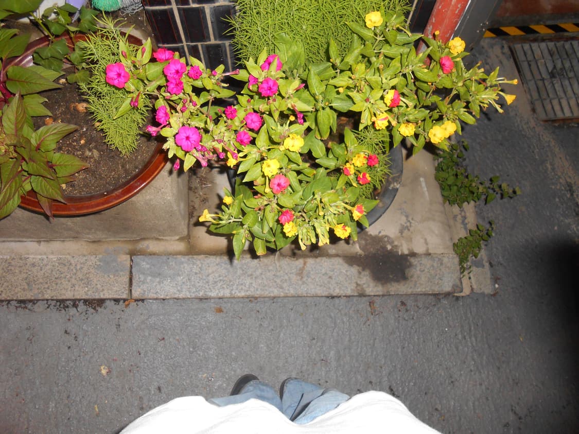 [풀구성, 소프트포커스 기능] 니콘 쿨픽스 s4400 레드 빈티지 디카 상품이미지2