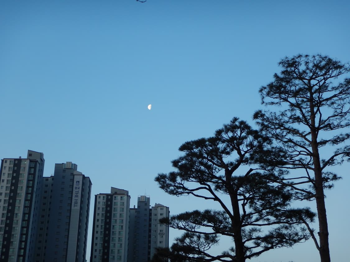 니콘 쿨픽스 Nikon Coolpix aw130 카모 상품이미지10