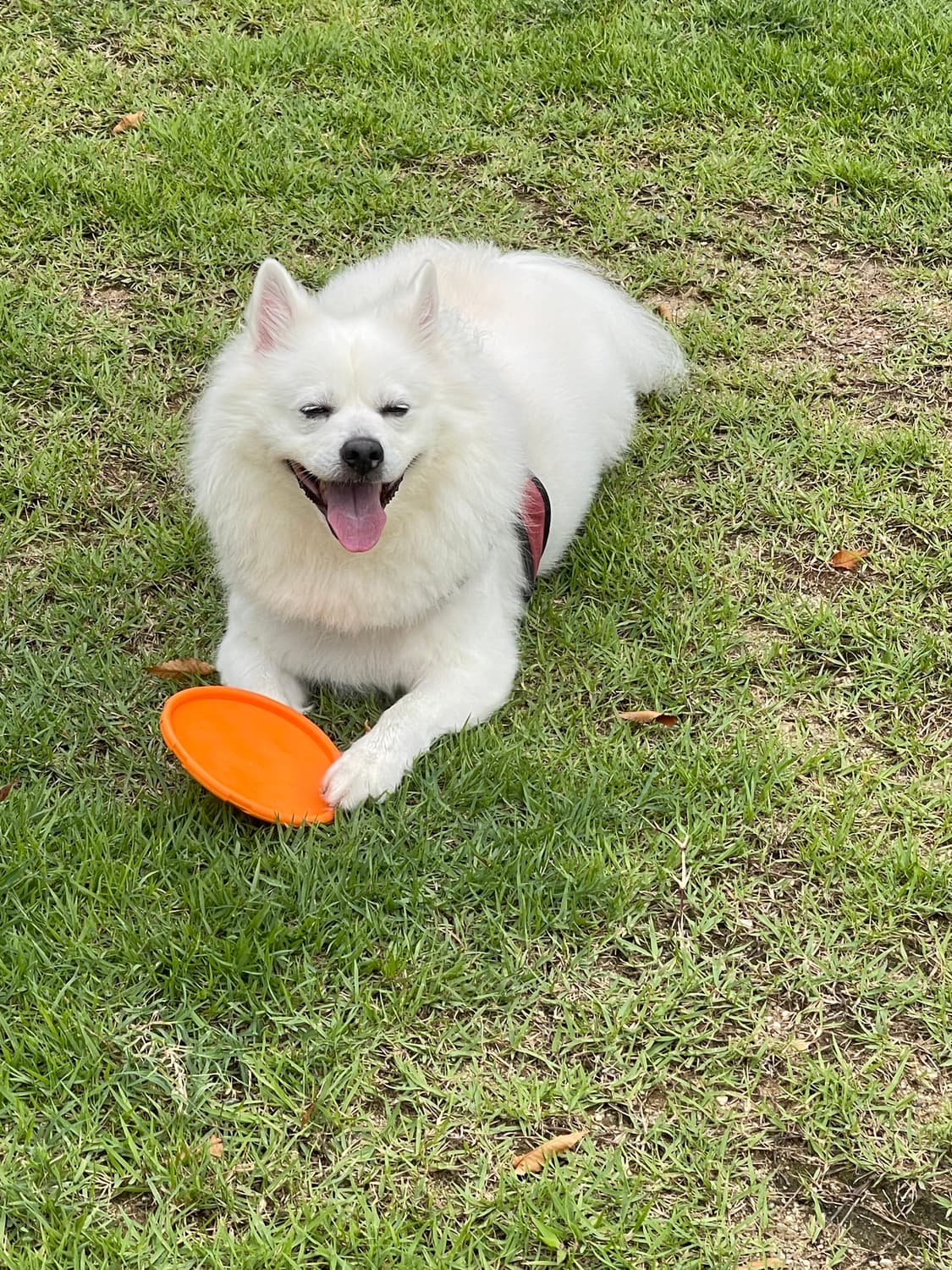 44포워드님 예약 상품이미지1