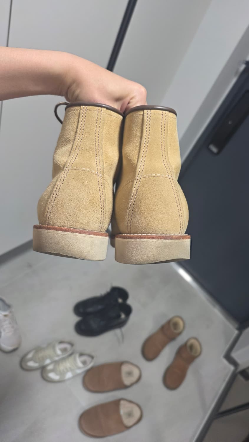 9D 사이즈 레드윙 8833 판매합니다
 상품이미지10