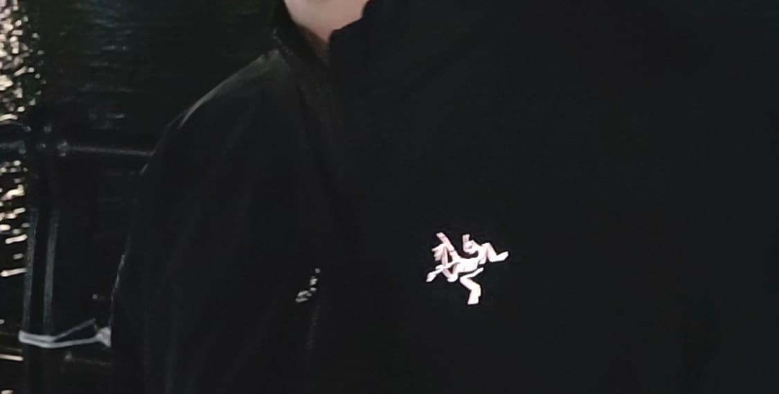 아크테릭스 잠바 상품이미지6