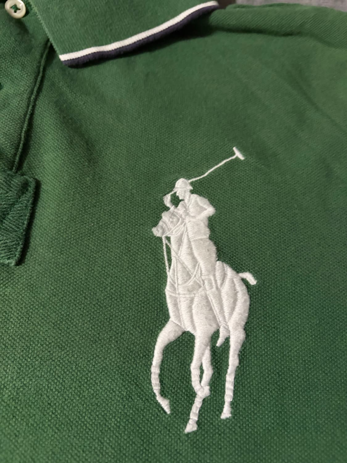 유일매물)폴로 빅포니 치프키프 영국 브리튼 카라티 상품이미지3