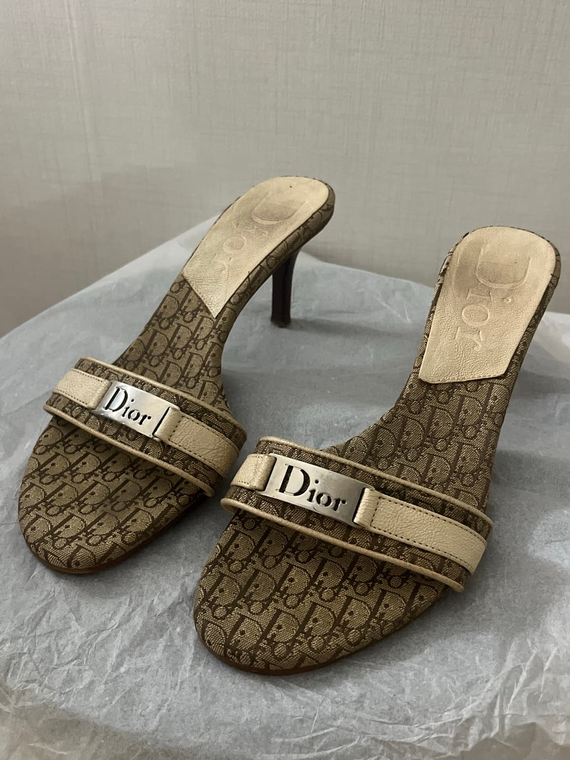 디올 구두 Dior 상품이미지1