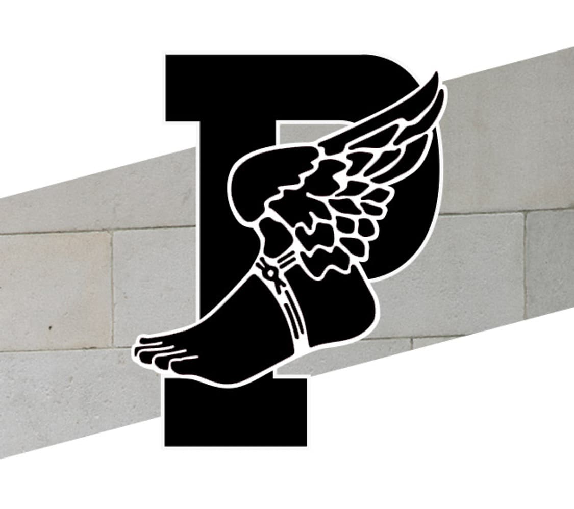 Polo 폴로 랄프로렌 윙 시리즈 자수 싹스 상품이미지8