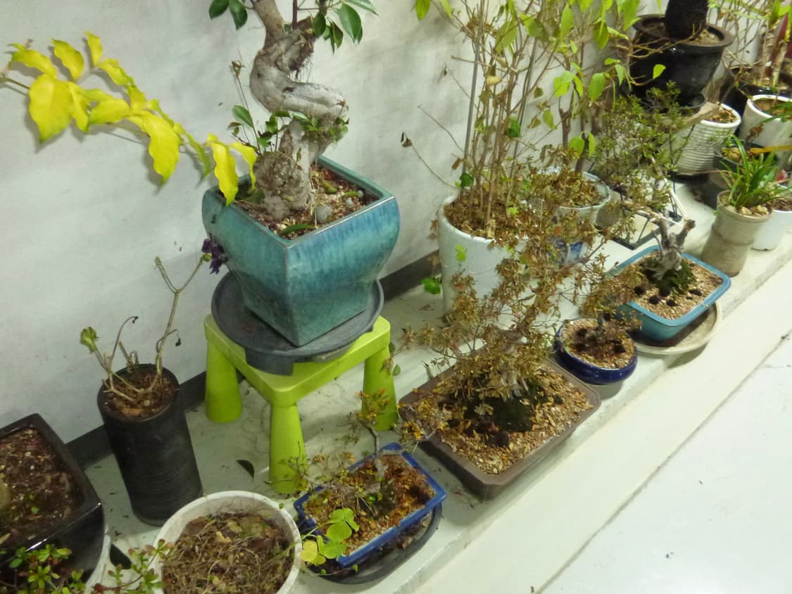 파나소닉 루믹스 dmc-fx77 빈티지 디카 상품이미지6