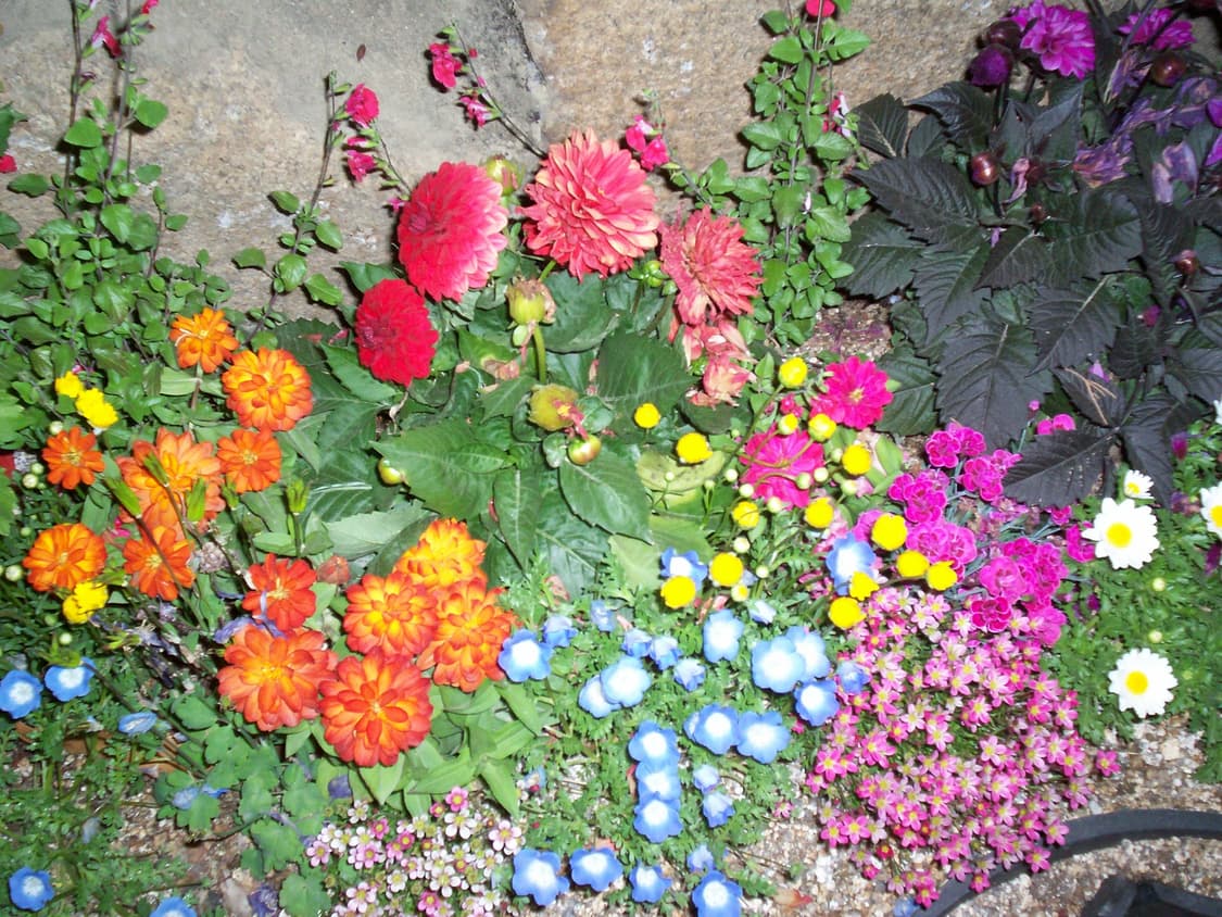 민트급) 코닥 이지쉐어 CD40 빈티지 디카 / 한국어 지원가능 상품이미지10