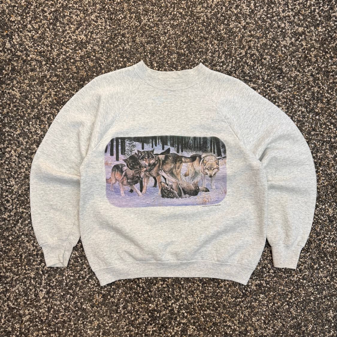 90s 프룻오브더룸 늑대무리 스웻셔츠 맨투맨 made in USA (L) 상품이미지1