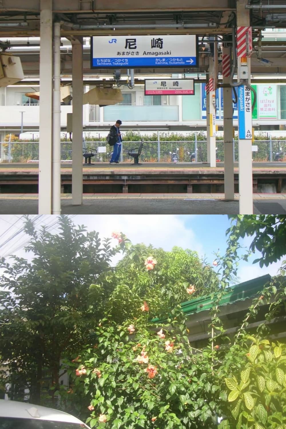 작례/귤픽스🍊𖠳ᐝ니콘 NIKON COOLPIX 4100 상품이미지8