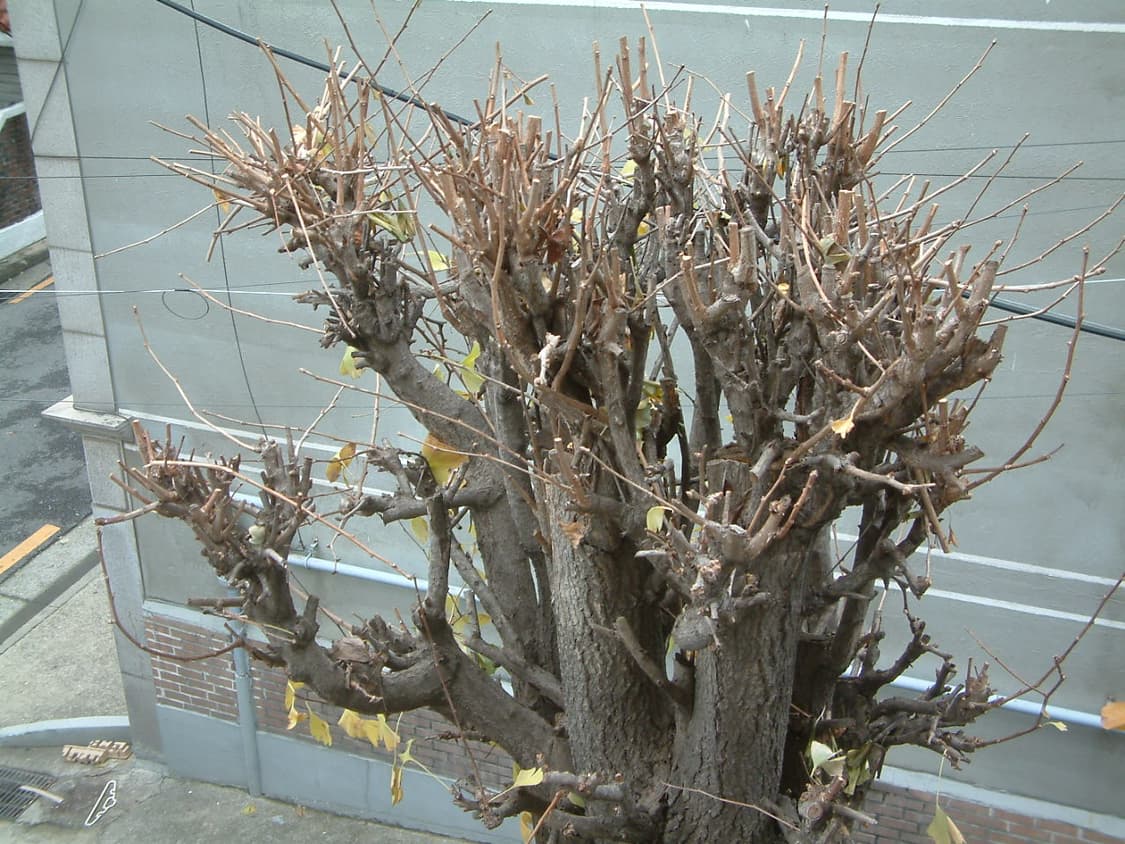 후지필름 FinePix S602Zoom 디카 (빈티지 카메라) 상품이미지6