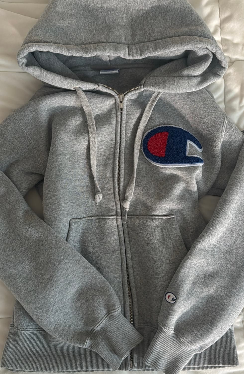 챔피온 빅로고 후드티 상품이미지2