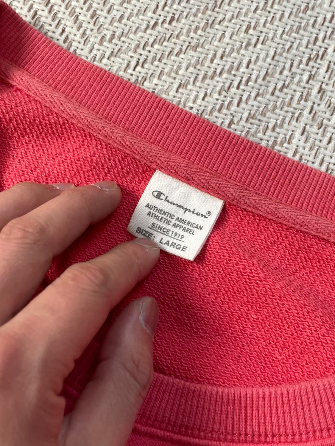 챔피온 사우스 플레인필드 스웻셔츠 J03494 상품이미지4