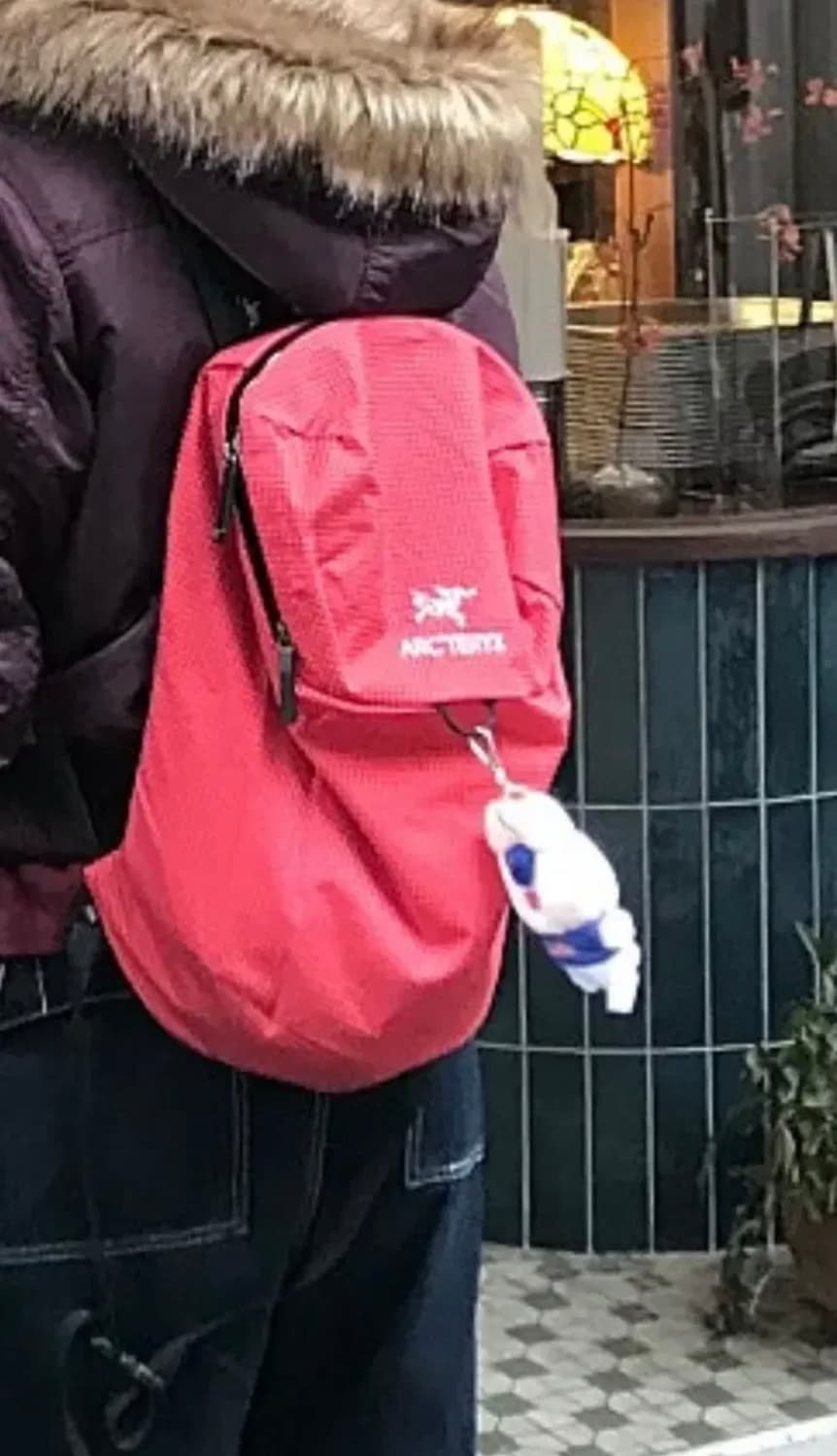 아크테릭스 컨실 15 백팩 헤리티지 상품이미지2