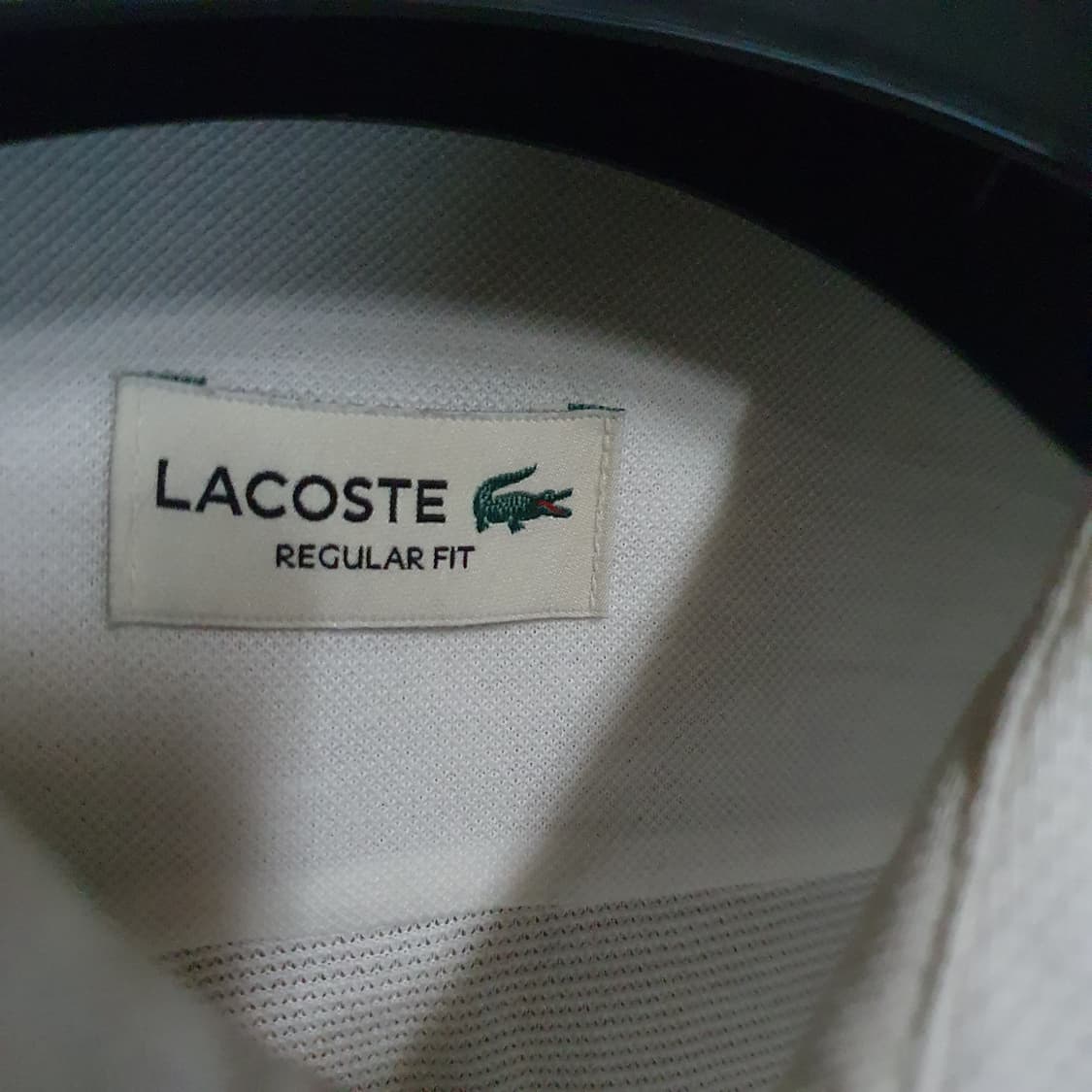 라코스테 셔츠 100 상품이미지3