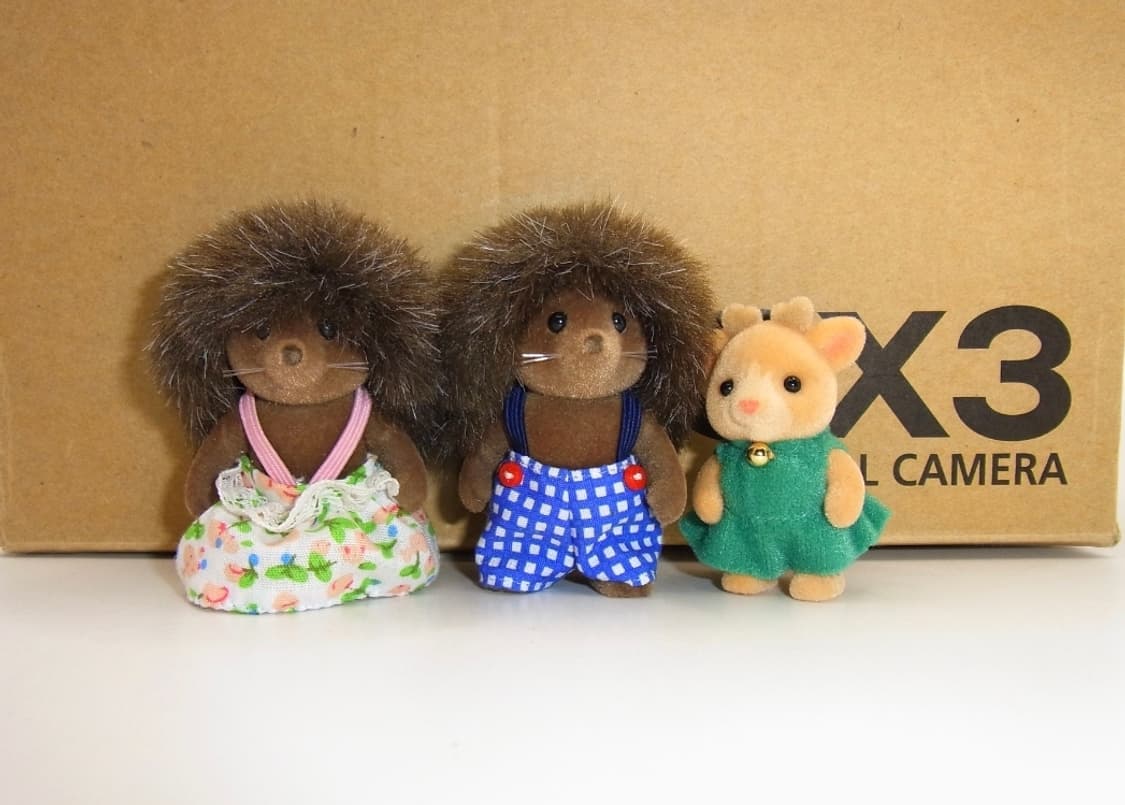 풀박 📸 리코 CX3 핑크 | 감성 줌 디카 🩷 상품이미지7