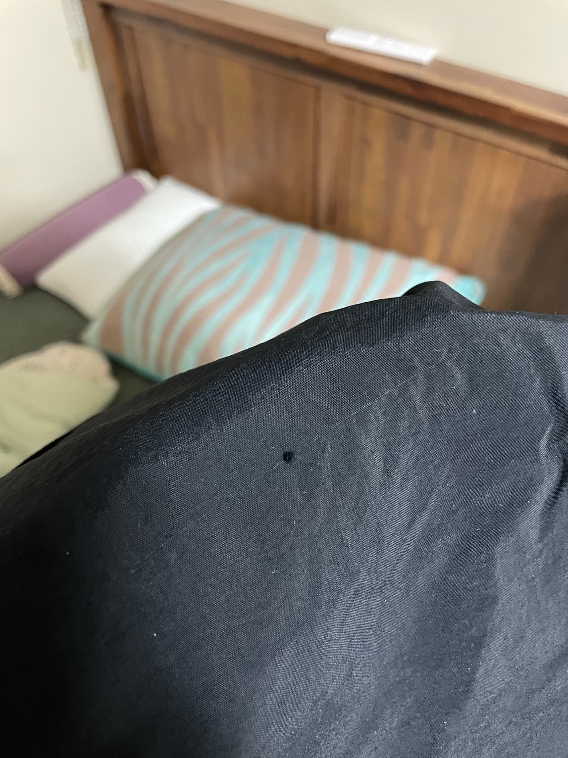 [L] 빔즈 X 컬럼비아 PFG 로그리버 BMS 나일론 피싱 팬츠 블랙 상품이미지8