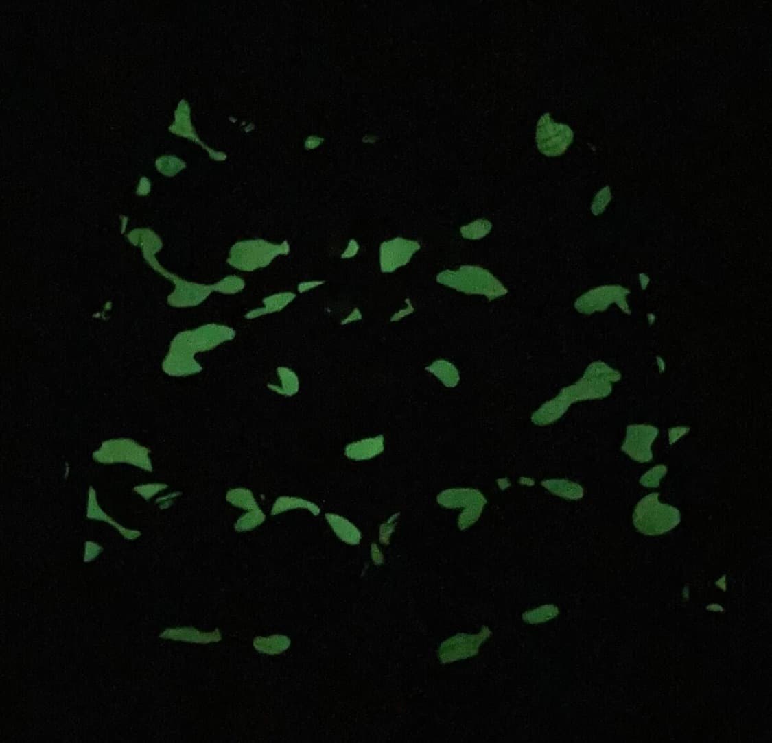 베이프 샤크 PONR 쇼츠 반바지 상품이미지3