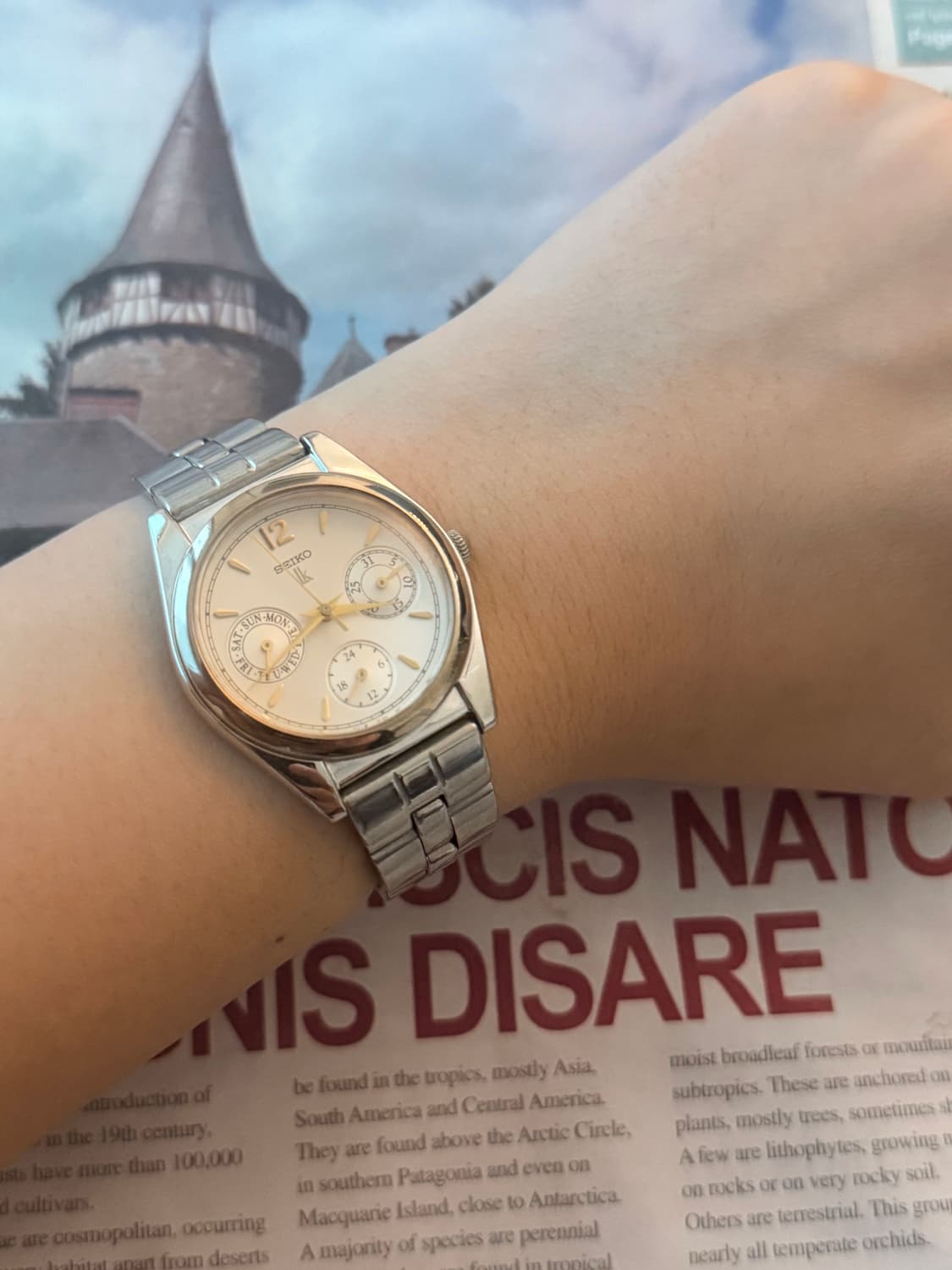 세이코 Seiko lk 레이디스 데이데이트 상품이미지4