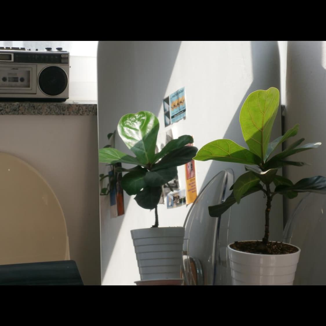 올림푸스 VH-210 박스  로즈 핑크글로시💗 빈티지 디카 디지털카메라 상품이미지4