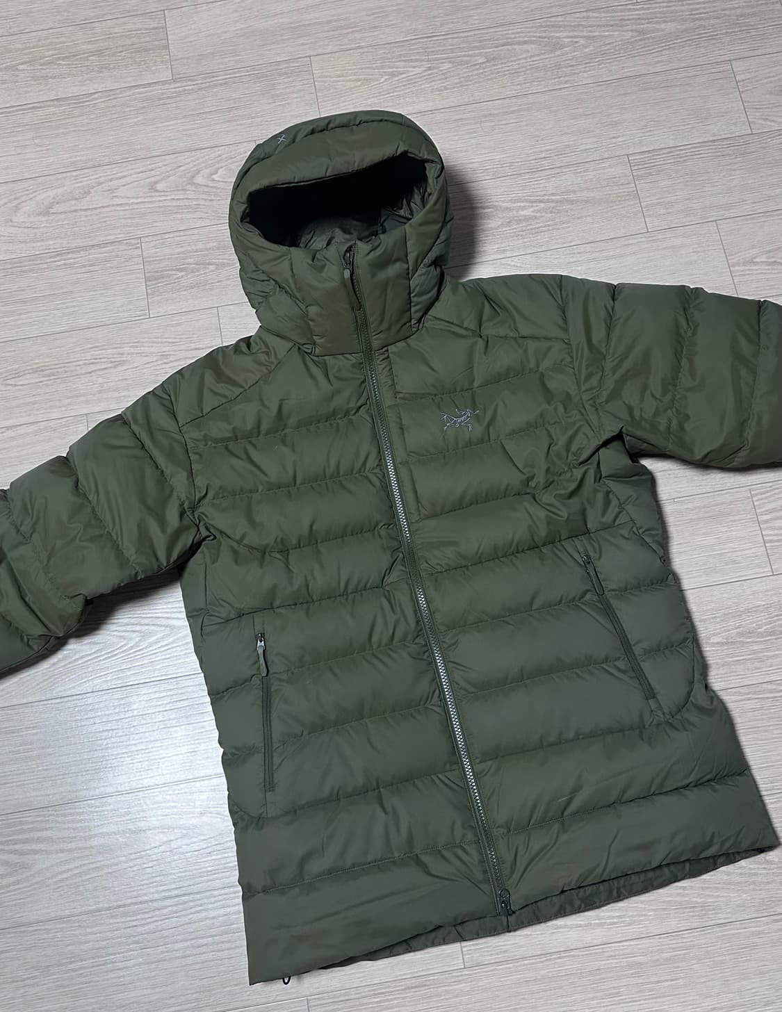 [M] 아크테릭스 토륨 후디 타츠 상품이미지1