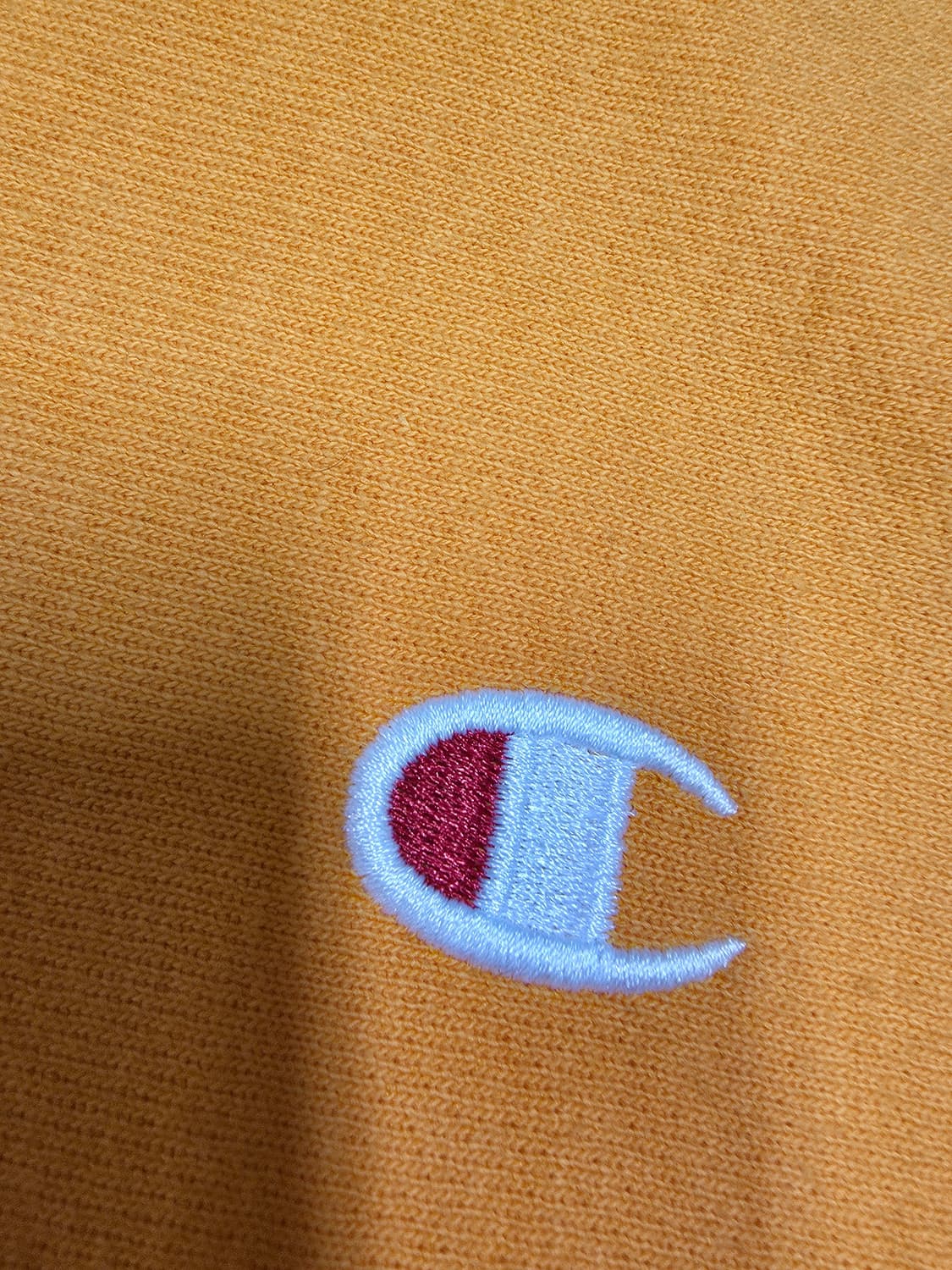 챔피온 리버스위브 후드 거의새거  상품이미지2