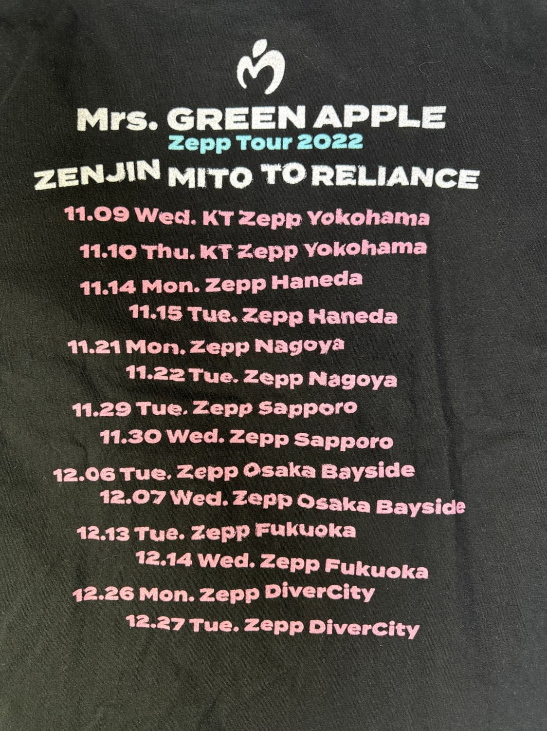 빈티지 미스터 그린애플 Zepp Tour 2022 투어 티셔츠 L 상품이미지5