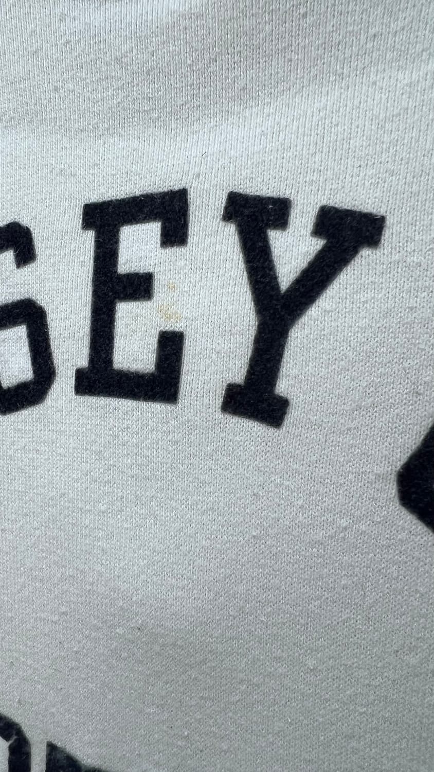 Champion 챔피온 후드 티셔츠 상품이미지4