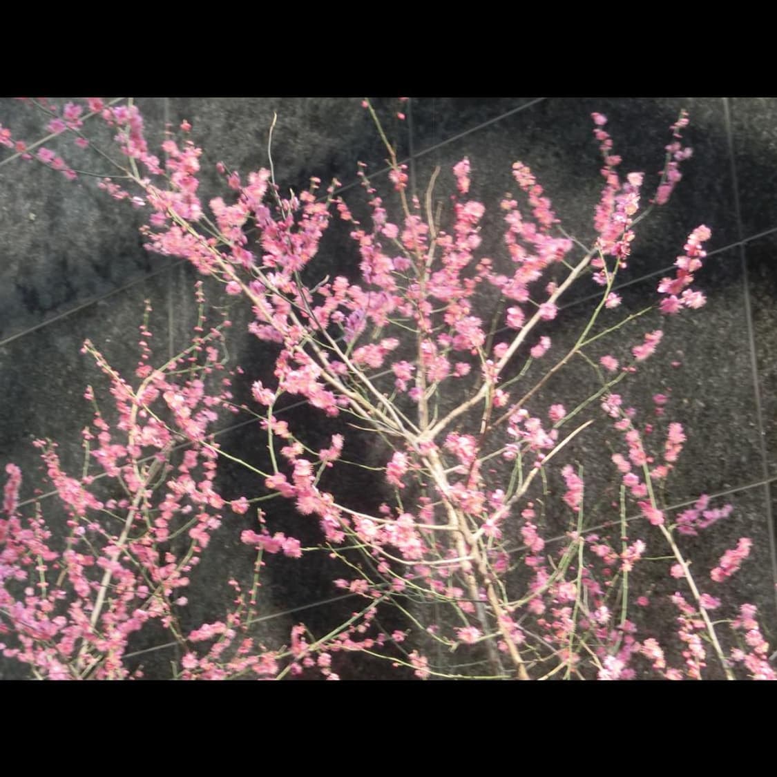 작례⭕️ 카시오 엑슬림 EX-H30 메이크업모드 상품이미지3