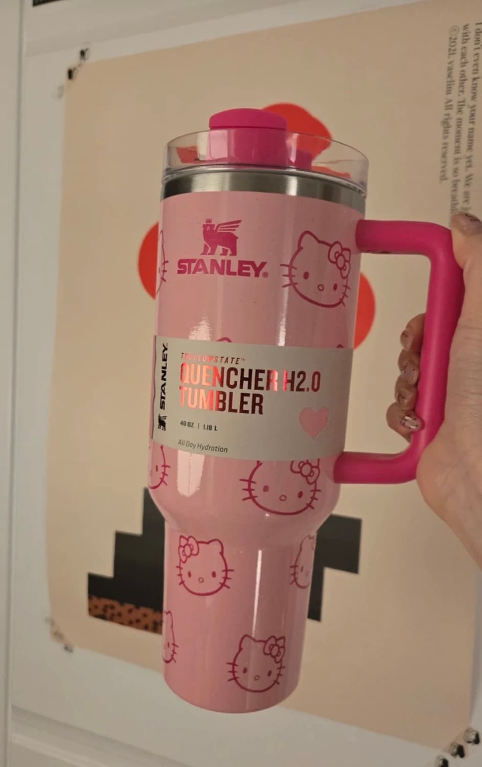 (새상품) 키티 스텐리 상품이미지3