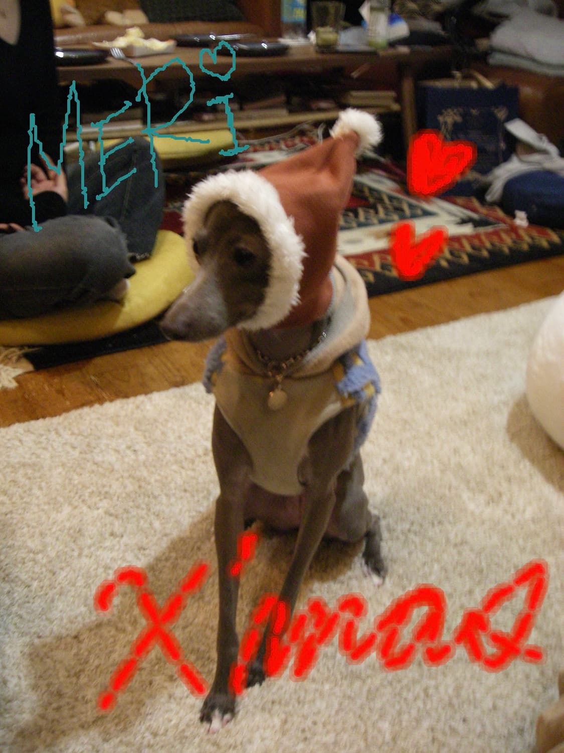 그려서 꾸미는 펜탁스 옵티오 T30 상품이미지5