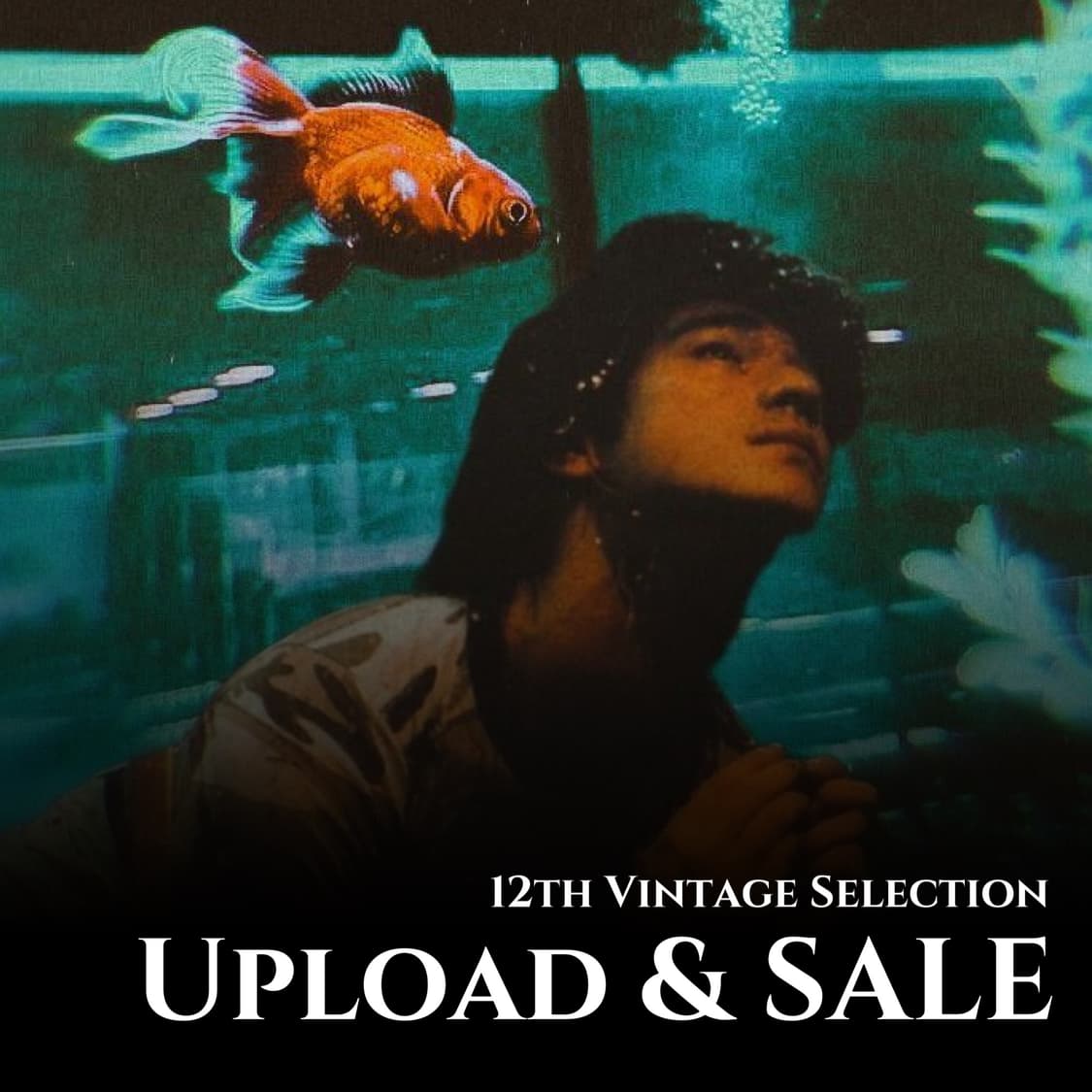 셀렉션 업로드 & 20% SALE 안내 상품이미지1