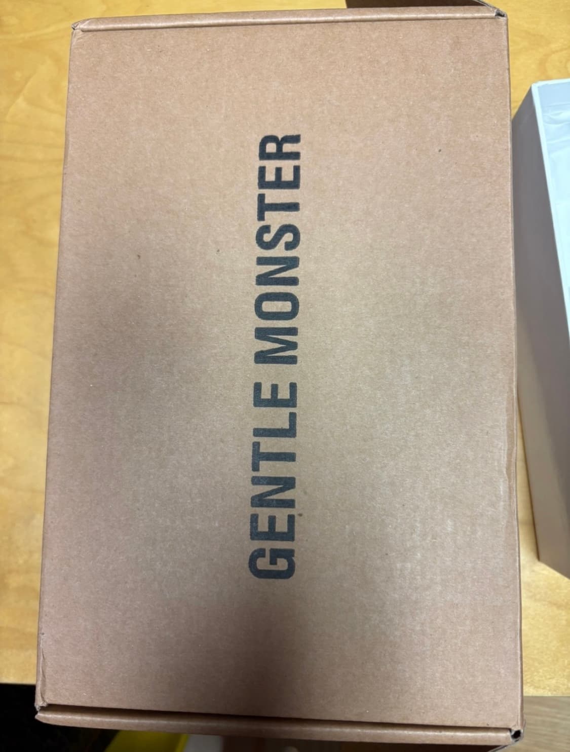 젠틀몬스터x메종마르지엘라 상품이미지7