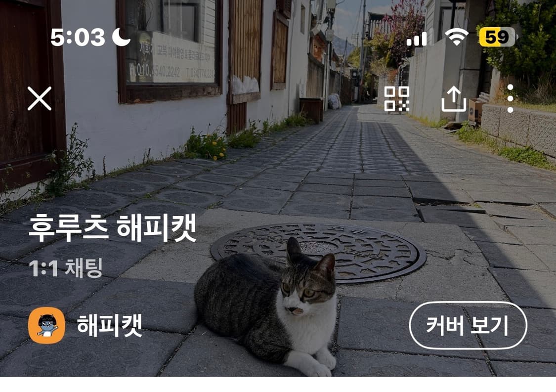 문스타 짐클래식 스니커즈 화이트 255 상품이미지9