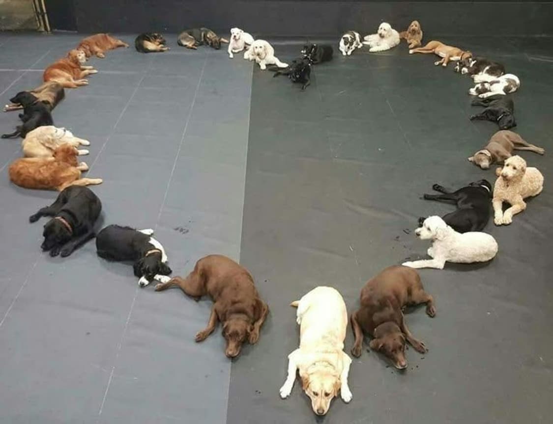 개인결제창 상품이미지1