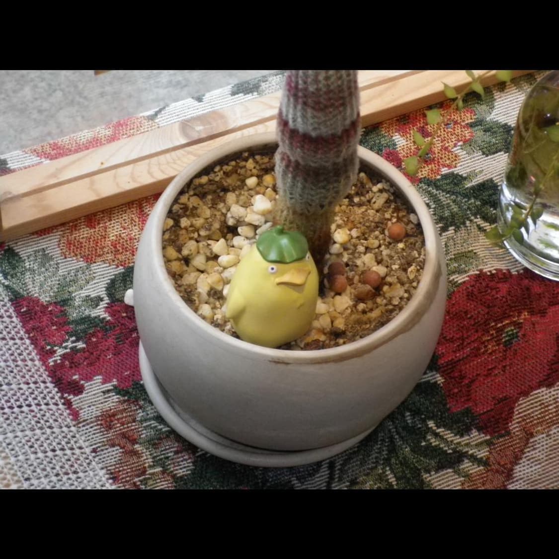 작례⭕️ 펜탁스 디지털 I-10 아이보리 화이트☁️ 빈티지 디카 상품이미지10